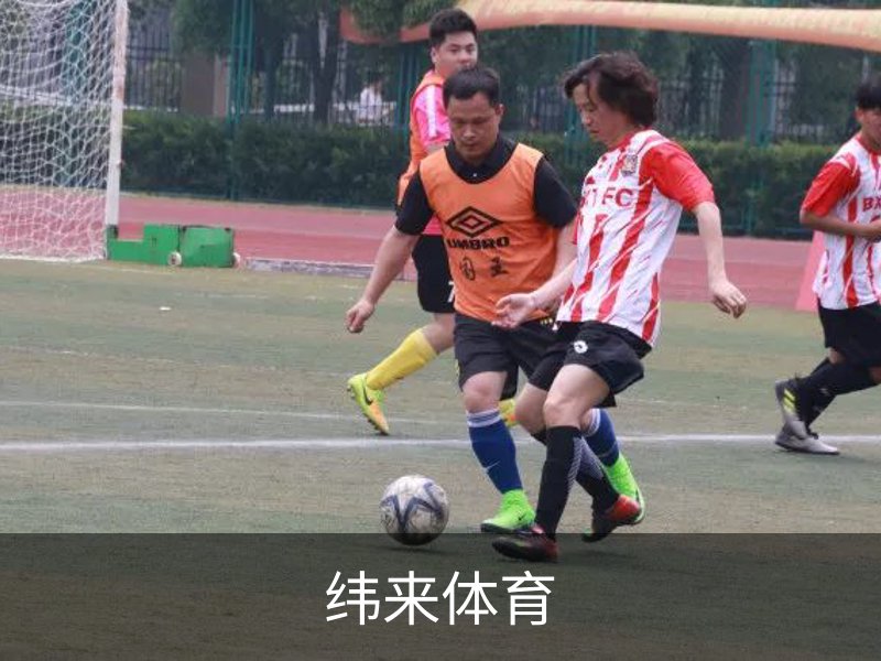 了解纬来体育